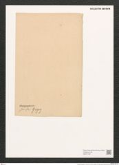 Cocconeis scutellum Ehr. (de-Toni-Nr.: Genus 40, Species 1812) Zeichnungen Sammlung Grunow (NHMW-BOT-W0371187)